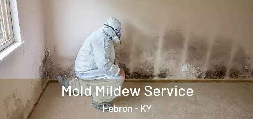  Mold Mildew Service Hebron - KY