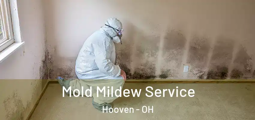 Mold Mildew Service Hooven - OH