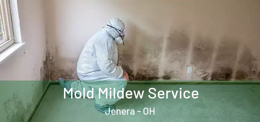 Mold Mildew Service Jenera - OH