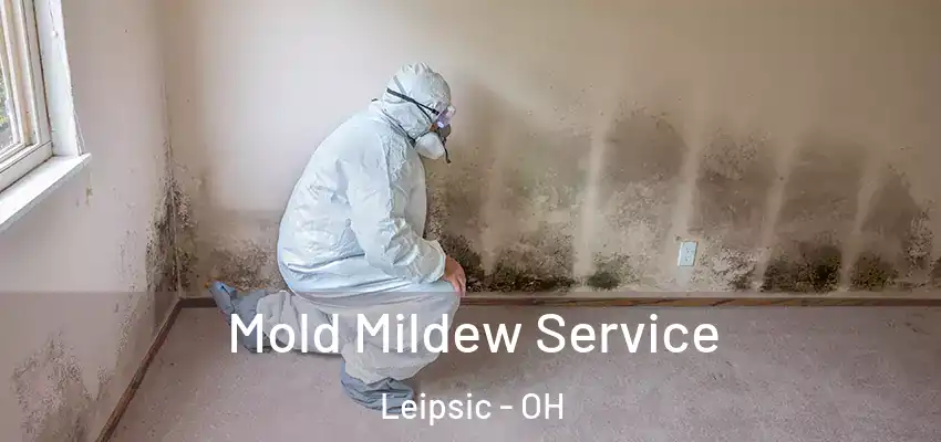  Mold Mildew Service Leipsic - OH