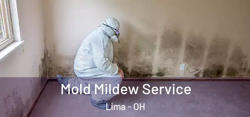 Mold Mildew Service Lima - OH