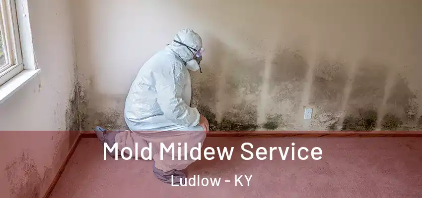 Mold Mildew Service Ludlow - KY