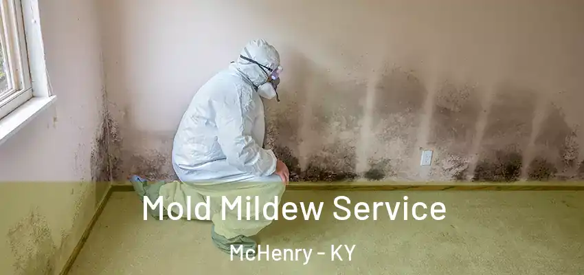  Mold Mildew Service McHenry - KY