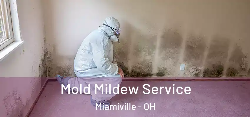 Mold Mildew Service Miamiville - OH