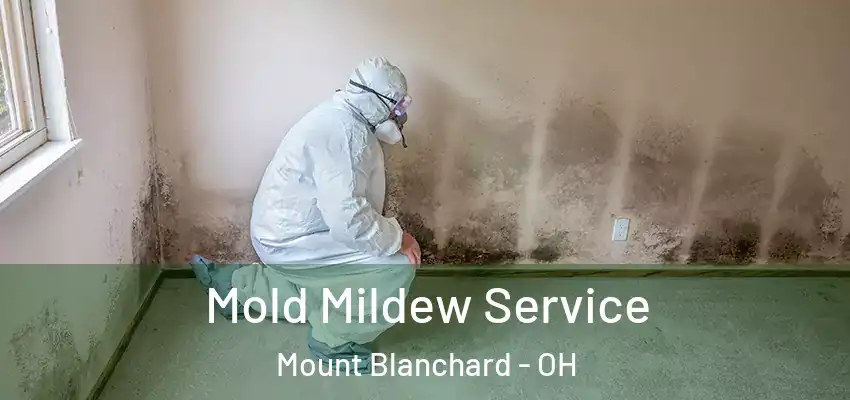 Mold Mildew Service Mount Blanchard - OH