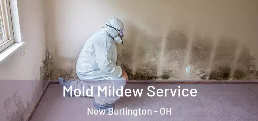  Mold Mildew Service New Burlington - OH