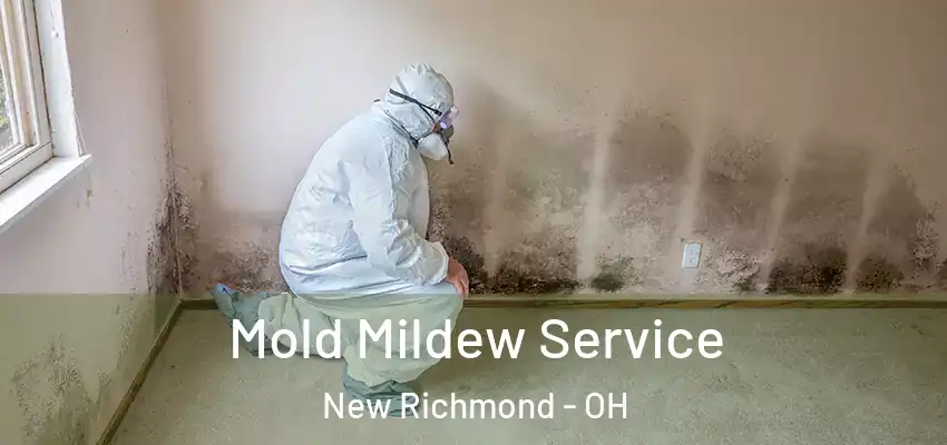  Mold Mildew Service New Richmond - OH