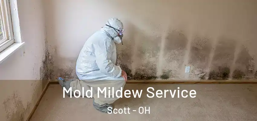  Mold Mildew Service Scott - OH