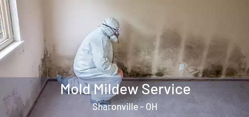 Mold Mildew Service Sharonville - OH
