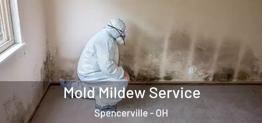 Mold Mildew Service Spencerville - OH
