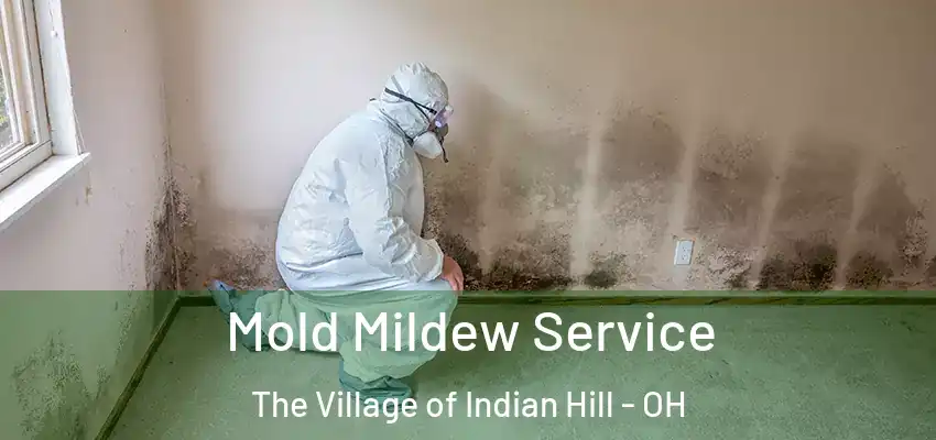 Mold Mildew Service The Village of Indian Hill - OH