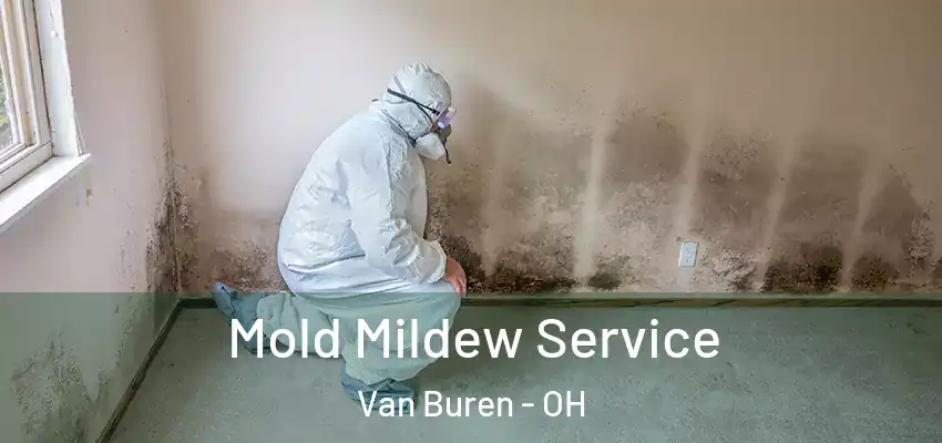 Mold Mildew Service Van Buren - OH