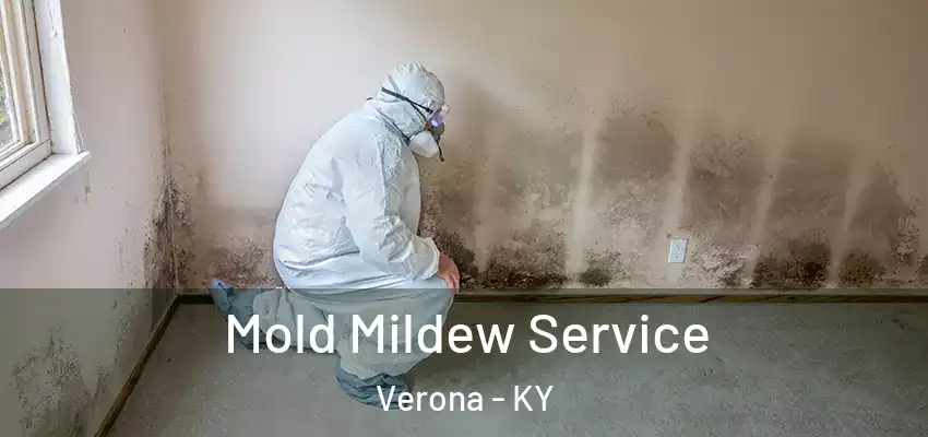 Mold Mildew Service Verona - KY