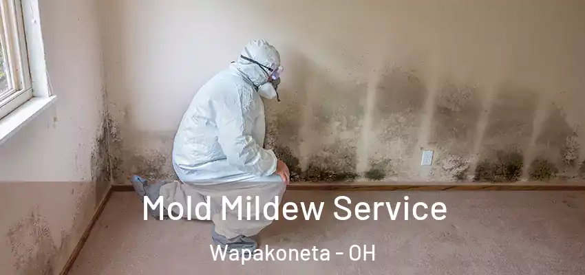 Mold Mildew Service Wapakoneta - OH