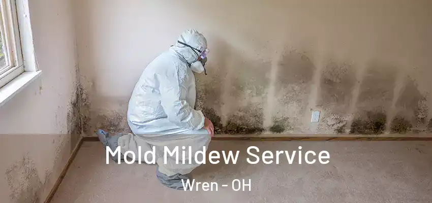 Mold Mildew Service Wren - OH