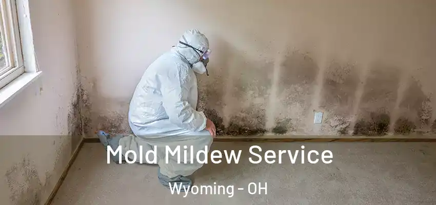  Mold Mildew Service Wyoming - OH