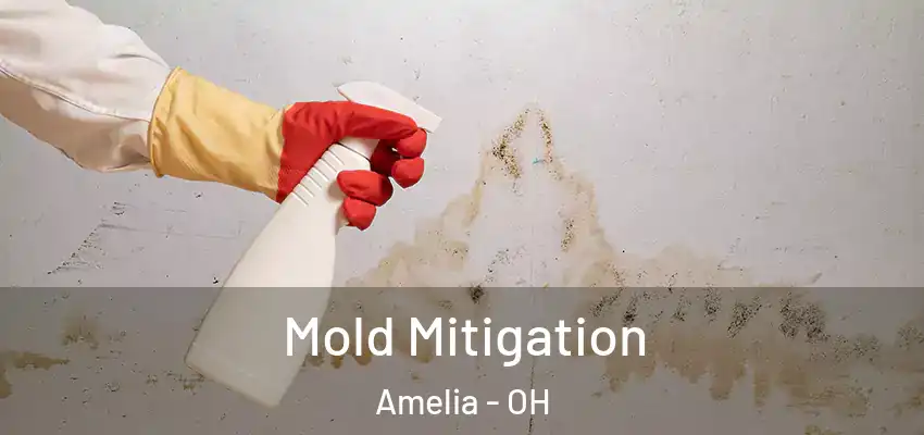  Mold Mitigation Amelia - OH