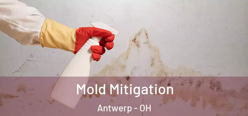  Mold Mitigation Antwerp - OH