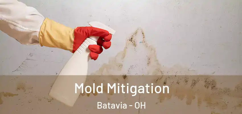 Mold Mitigation Batavia - OH