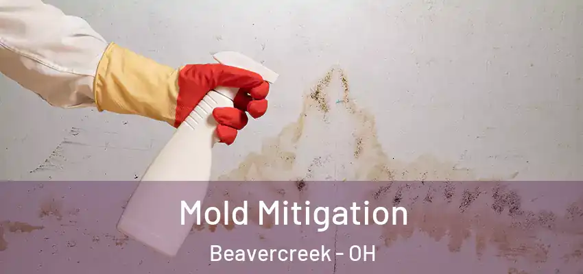  Mold Mitigation Beavercreek - OH