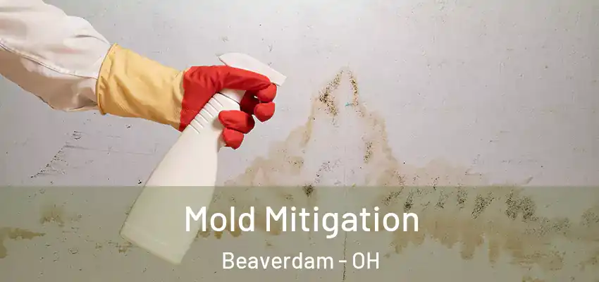 Mold Mitigation Beaverdam - OH