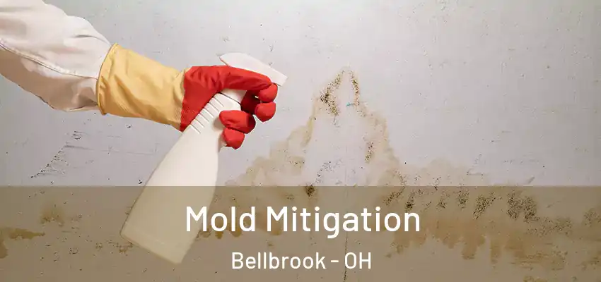  Mold Mitigation Bellbrook - OH