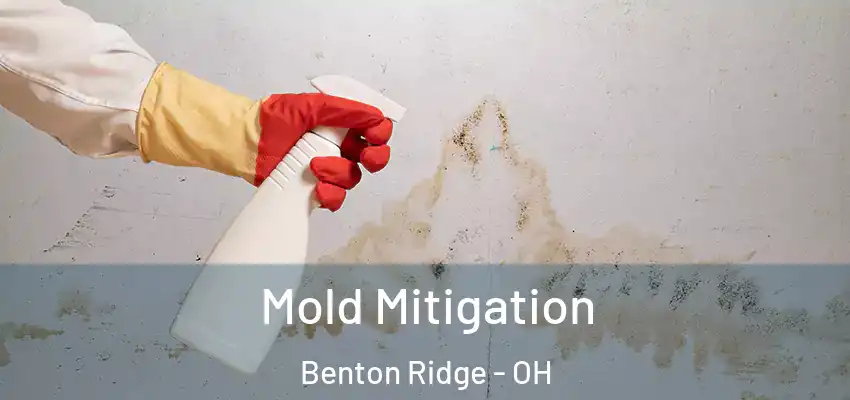 Mold Mitigation Benton Ridge - OH