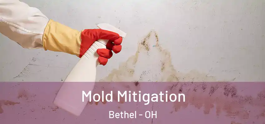 Mold Mitigation Bethel - OH