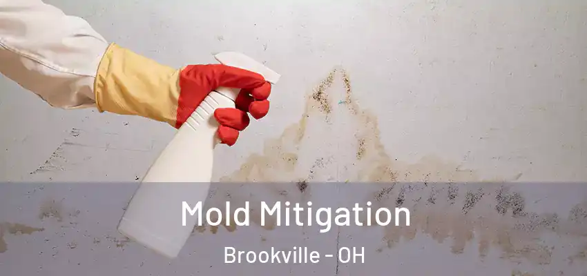  Mold Mitigation Brookville - OH