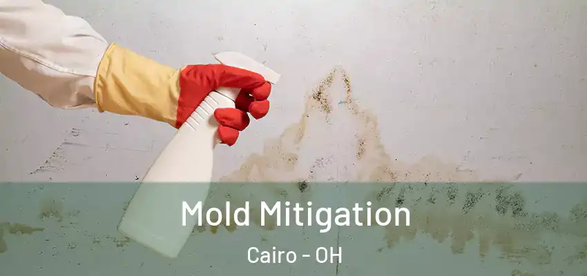  Mold Mitigation Cairo - OH