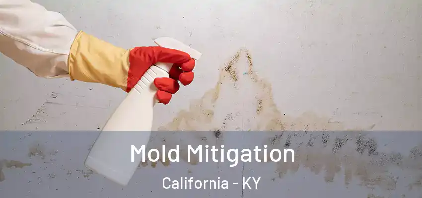 Mold Mitigation California - KY