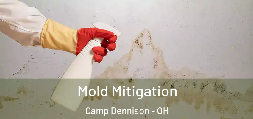  Mold Mitigation Camp Dennison - OH