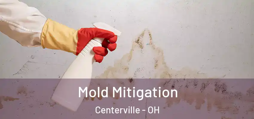  Mold Mitigation Centerville - OH