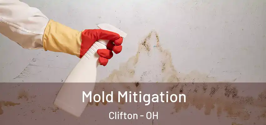  Mold Mitigation Clifton - OH