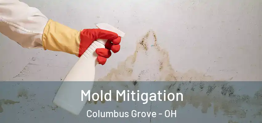 Mold Mitigation Columbus Grove - OH