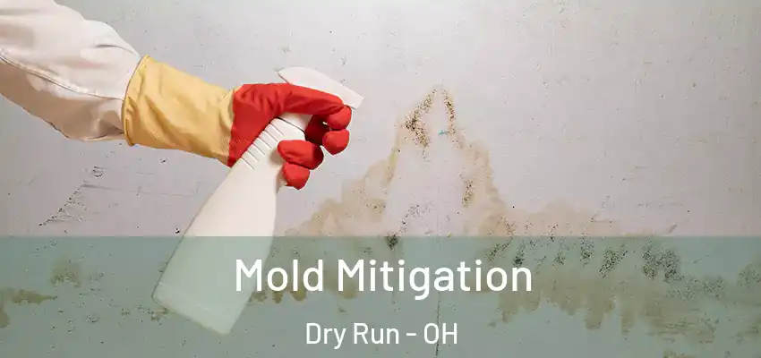 Mold Mitigation Dry Run - OH