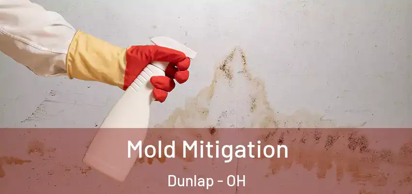 Mold Mitigation Dunlap - OH