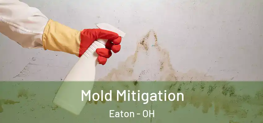  Mold Mitigation Eaton - OH
