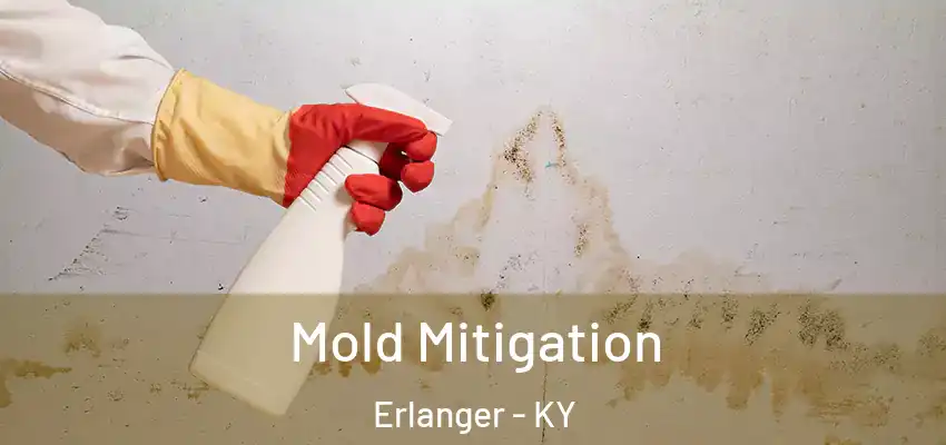Mold Mitigation Erlanger - KY