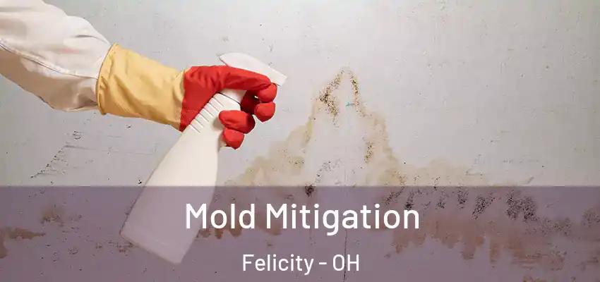 Mold Mitigation Felicity - OH