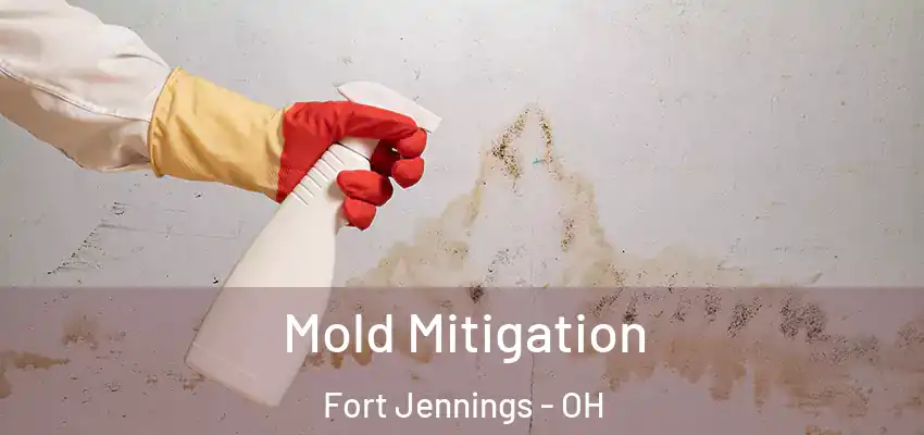 Mold Mitigation Fort Jennings - OH