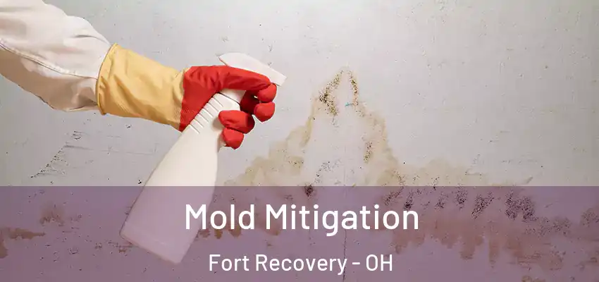 Mold Mitigation Fort Recovery - OH