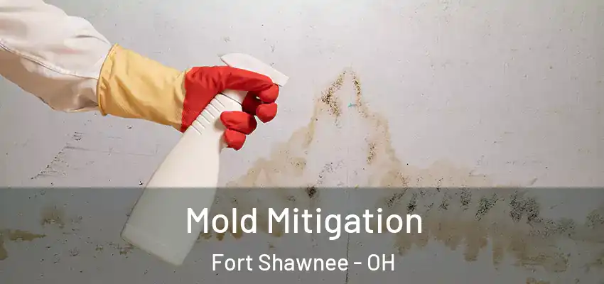  Mold Mitigation Fort Shawnee - OH