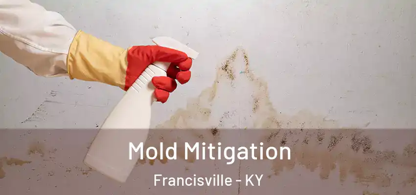 Mold Mitigation Francisville - KY