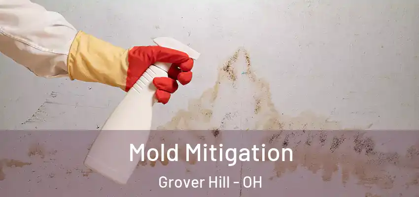Mold Mitigation Grover Hill - OH