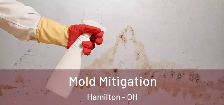  Mold Mitigation Hamilton - OH