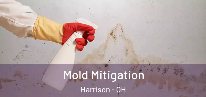 Mold Mitigation Harrison - OH