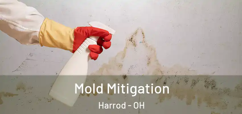 Mold Mitigation Harrod - OH