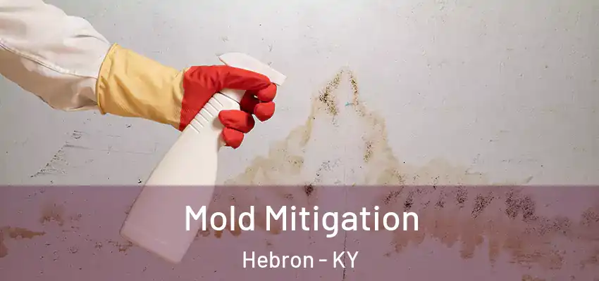 Mold Mitigation Hebron - KY