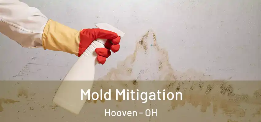 Mold Mitigation Hooven - OH